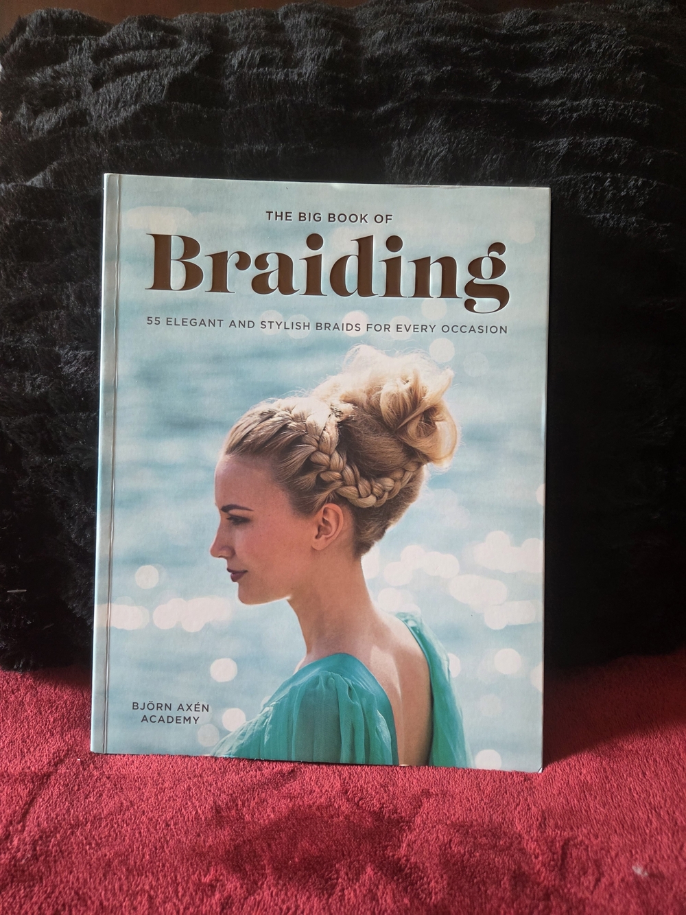 The Big Book of Braiding — Women Hair Styling (Aqua)